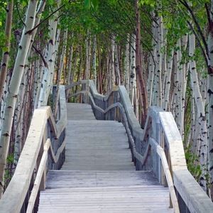 Meet your Posher, Eugenia